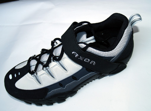 axon