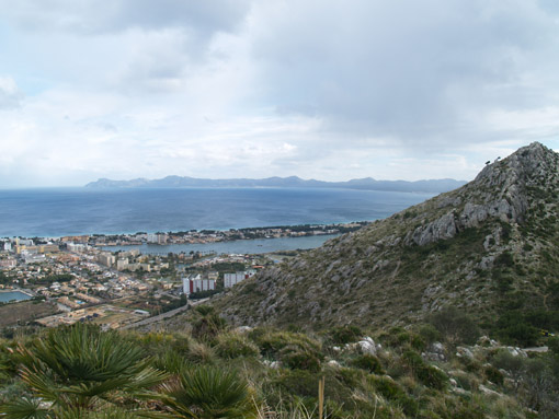 merida_444