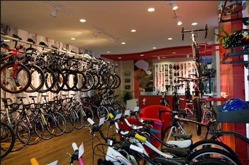 specialized 23