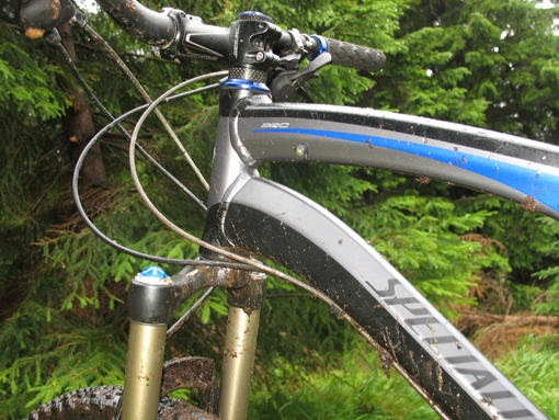 specialized_camber