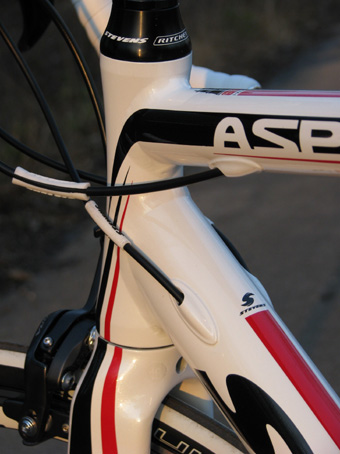 stevens_aspin_hlava