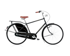 electra 2010