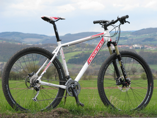 pole Apache Hawk Disc 29”