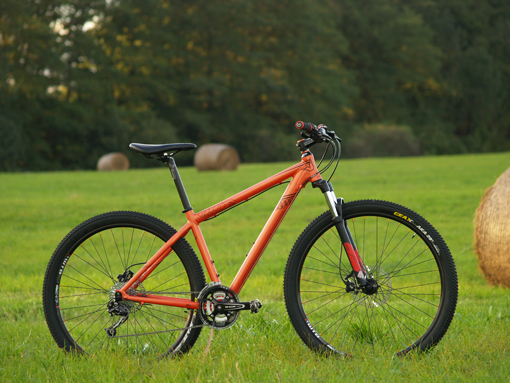 felt nine sport v lese