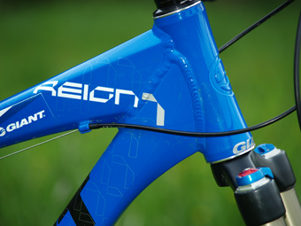 Giant Reign 1