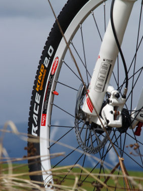 Mongoose Canaan Elite