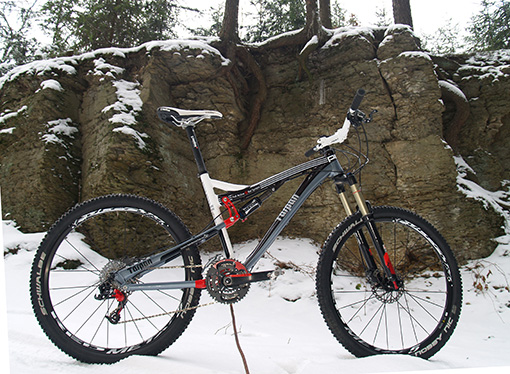 Pells Tarpan X.9