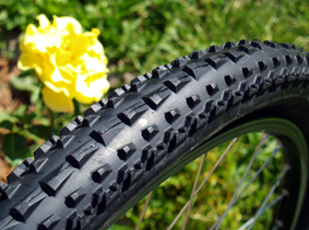 Maxxis rendez