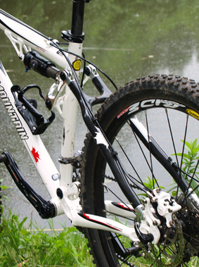 Rocky Mountain Element 50