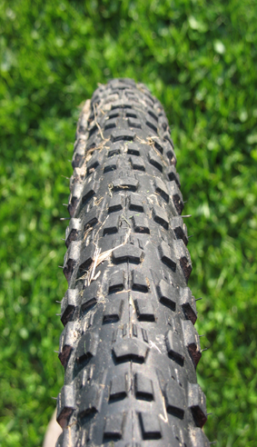 Rubena Scylla Racing Pro - Top Design