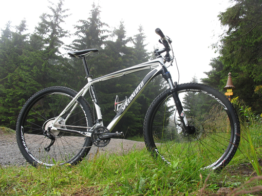 Specialized Carve Expert 29